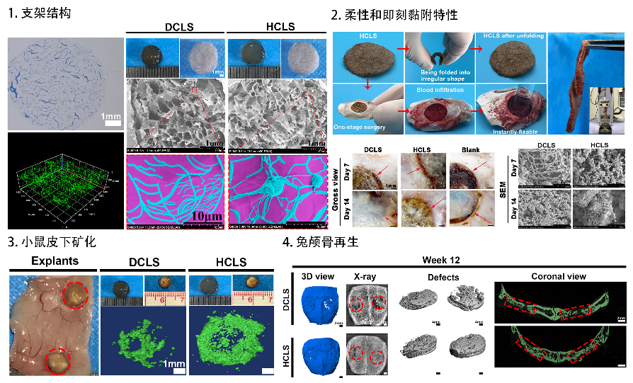 https://www.scu.edu.cn/__local/D/01/59/CE440D91E088E8331450969AA65_AEC89D70_9C0CA.png